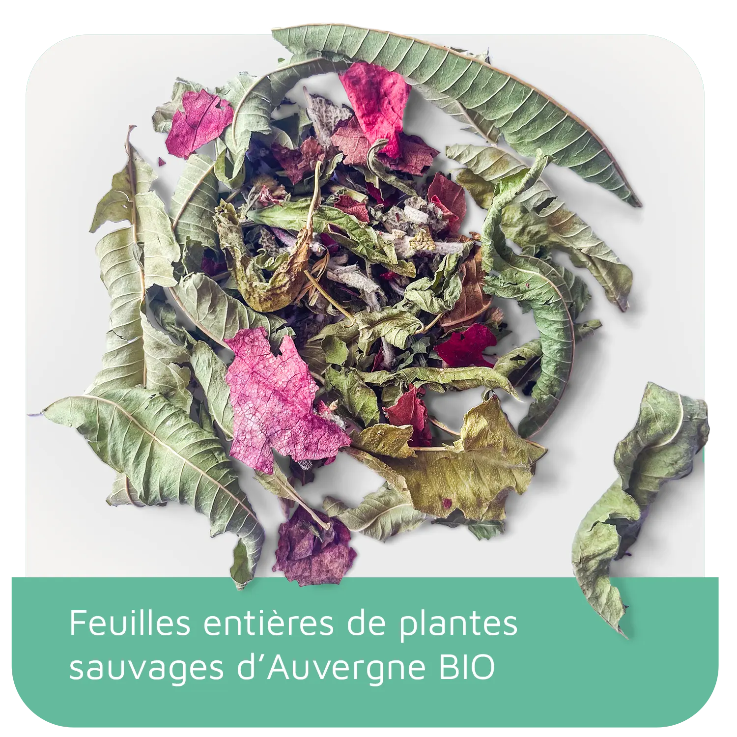 L'infusion BIO Luneale