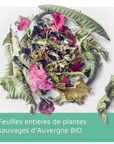 L'infusion BIO Luneale