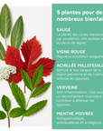 Détail des plantes et de leurs bienfaits de L’Infusion Luneale, tisane bio et naturelle pour soulager les douleurs menstruelles. Infusion apaisante et relaxante, idéale pour le bien-être féminin pendant le cycle menstruel et pour lutter contre les douleurs de règles et le spm
