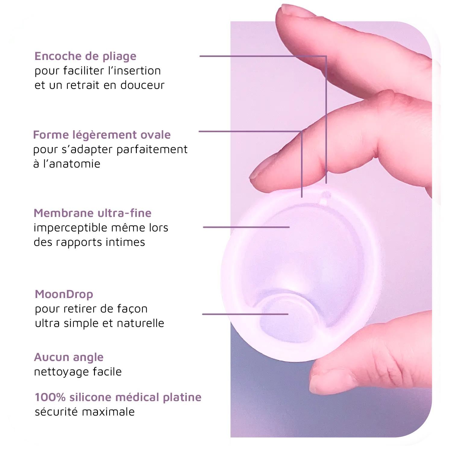 Pack Cup et Disque Luneale