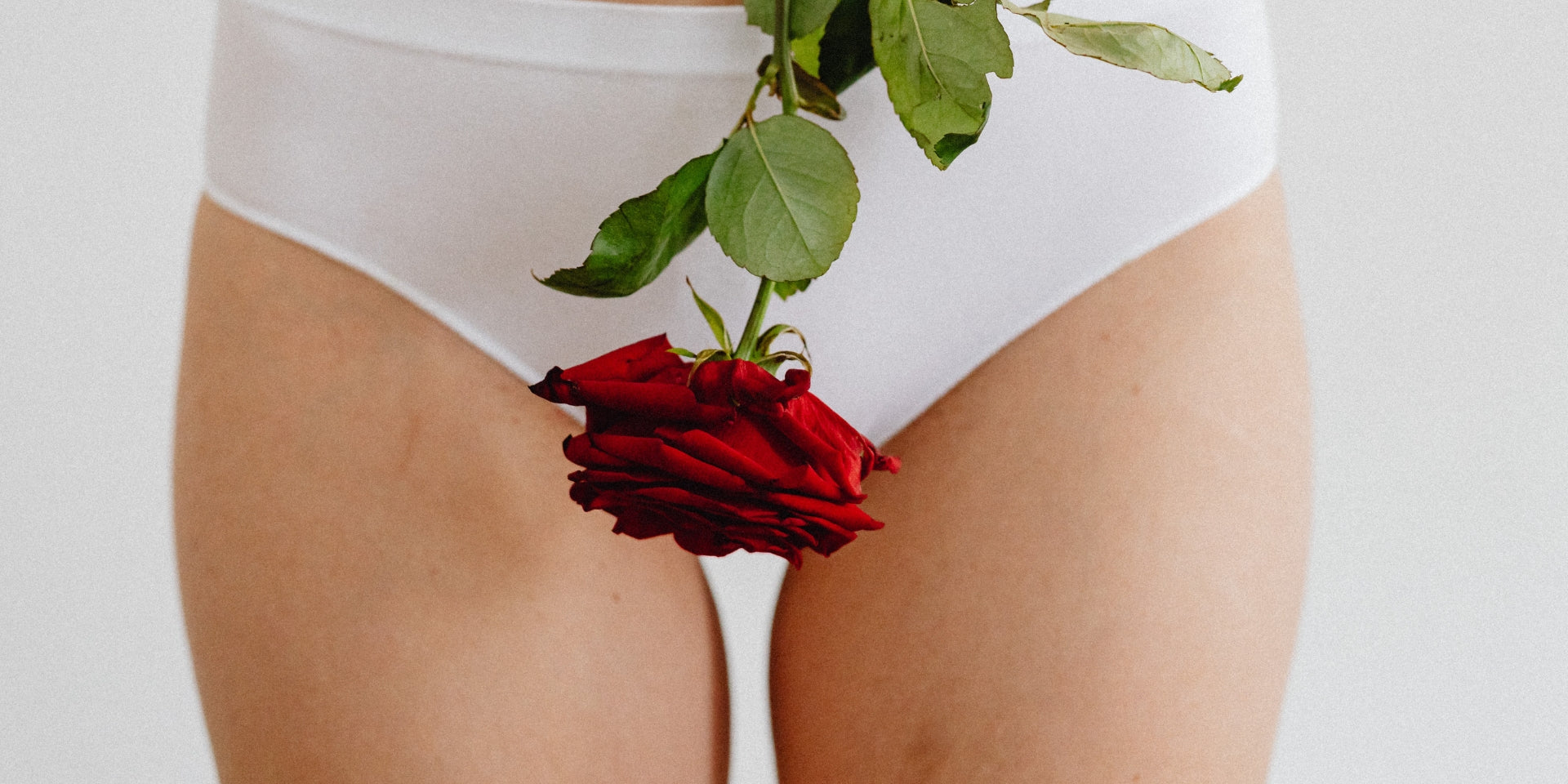 une femme en culotte avec une rose au niveau de l'entrejambe pour illustrer un articles sur l'anatomie féminine
