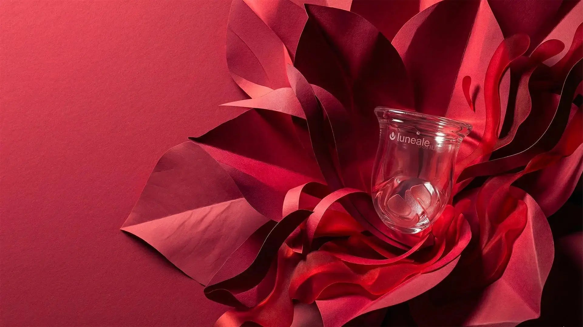 cup menstruelle sur un fond en feuilles découprée rouge ilustrant un article sur le nettoyage d'une cup apres une vaginose ou une mycose