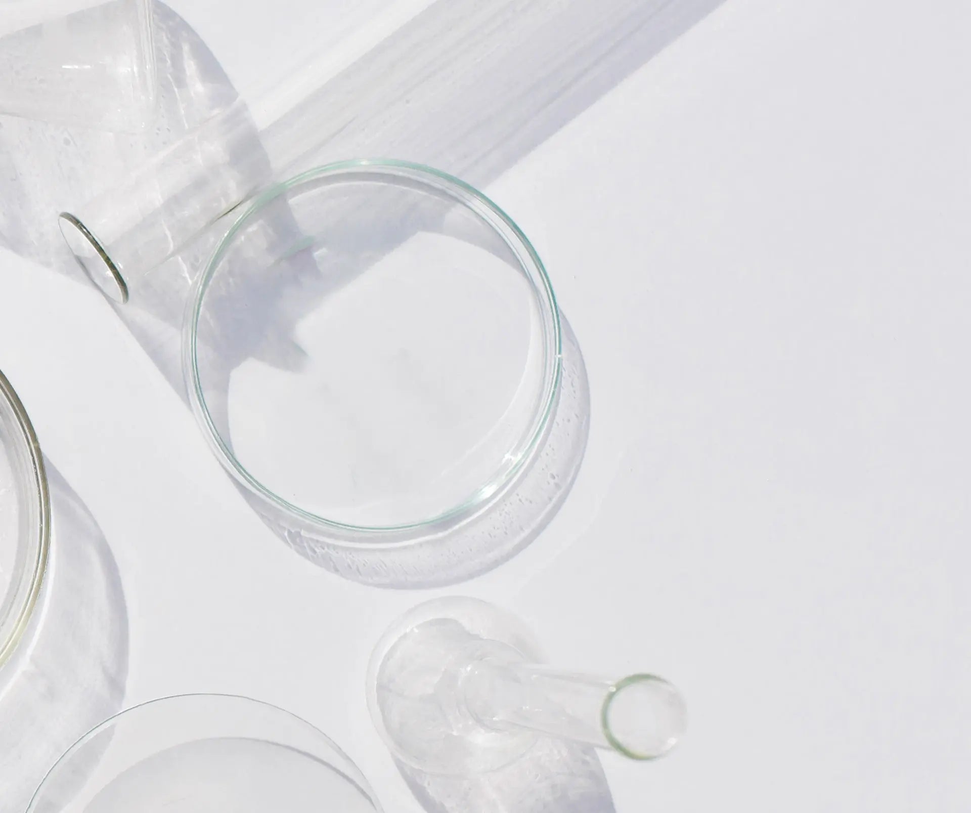 Luneale composition cup menstruelle silicone medical peroxyde platine Image