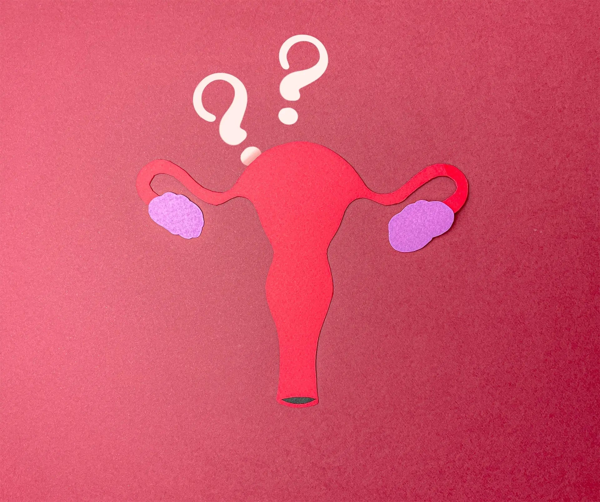 utiliser cup menstruelle coupe menstruelle uterus retroversé luneale possible possibilité