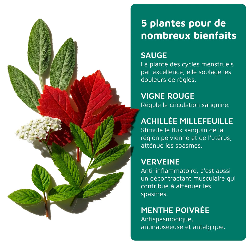 L'Infusion Bio