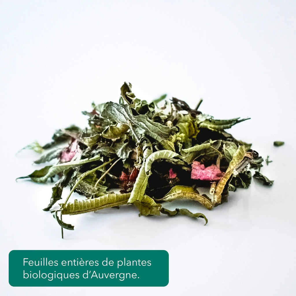 L'Infusion Bio
