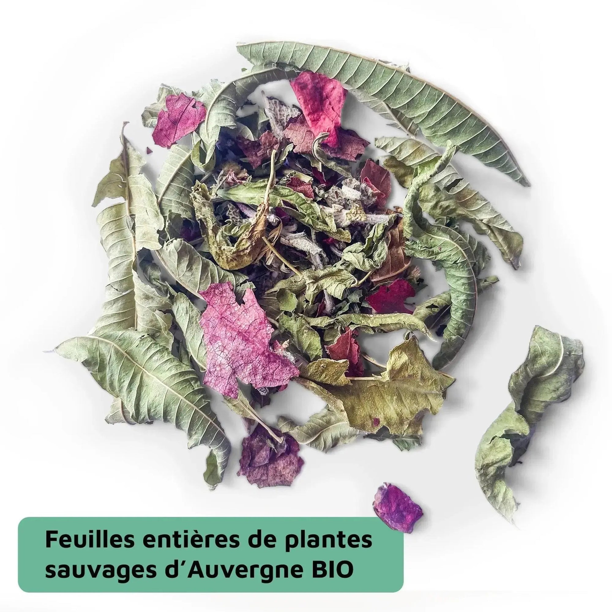 Pack Découverte Luneale